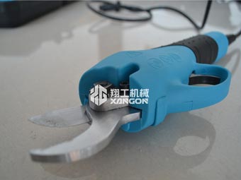 果樹修剪時，電動修枝剪助您一臂之力